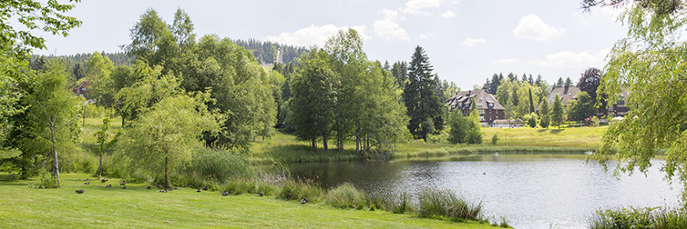 Hinterzarten