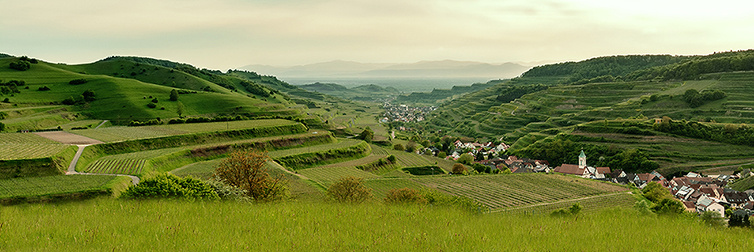 Vogtsburg-Ober-/Niederrotweil