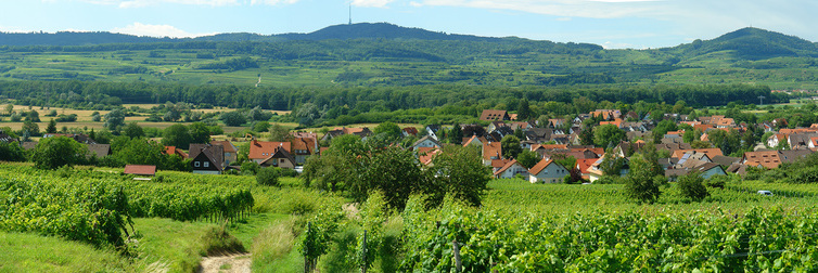 Gottenheim - Umkirch