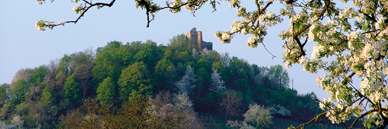 Staufen