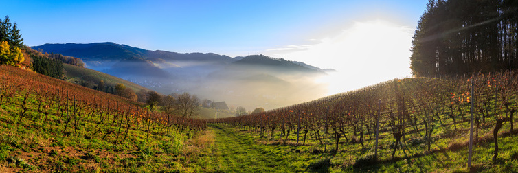 Waldkirch / Buchholz