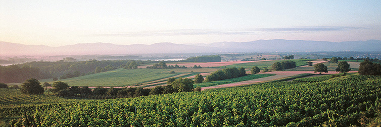 Nimburg Nimburg