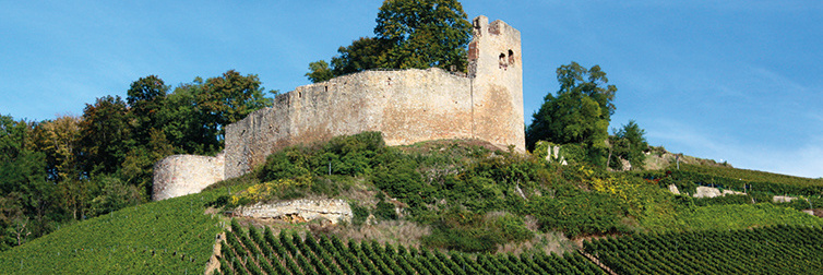 Kenzingen Kenzingen