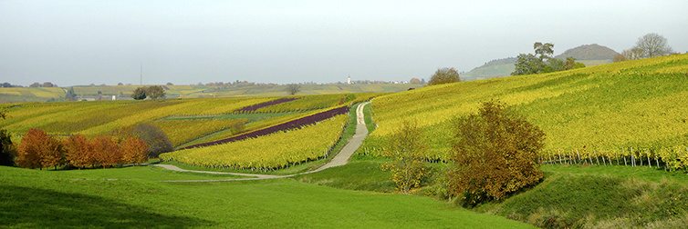 Ballrechten-Dottingen