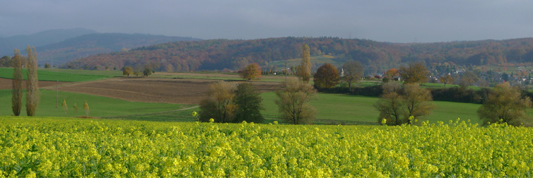 Rmmingen / Binzen / Eimeldingen